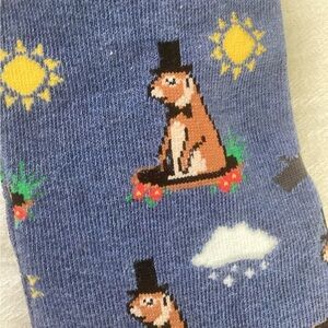 Punxatawny Phil on a sock!